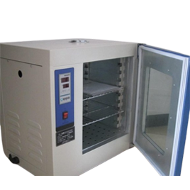 حواضن فطرية