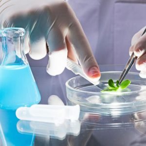 أجهزة تحليل فيزيائي وكيميائي