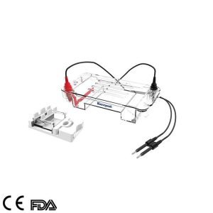 خلية التحليل الكهربائي الأفقي، GEP-HH-SUB01 Electrophoresis Cell