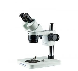 الميكروسكوب